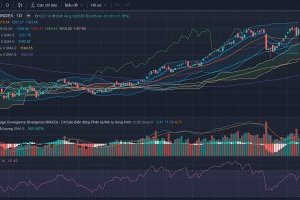 Nhận định Thị trường chứng khoán ngày 13/09/2023