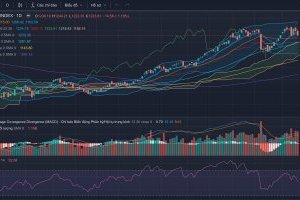 Nhận định thị trường Chứng khoán ngày 15/09/2023