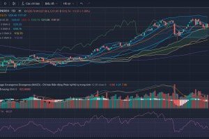 Nhận định thị trường Chứng khoán ngày 22/09/2023