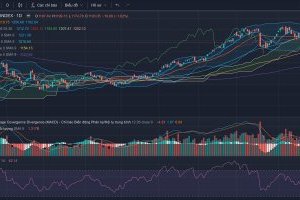 Nhận định thị trường Chứng khoán ngày 25/09/2023
