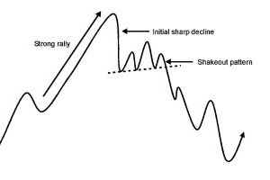 Mô hình Shakeout (Rũ bỏ) - Giai đoạn hình thành và Ví dụ thực tế