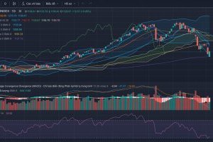 Nhận định thị trường Chứng khoán tuần 2-6/10/2023