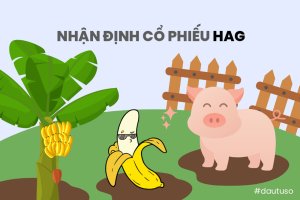 Nhận định Cổ phiếu HAG: Còn nhiều khó khăn, Giá mục tiêu và Lịch chia cổ tức 2023