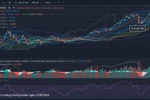 Nhận định Thị trường Chứng khoán ngày 11/09/2023