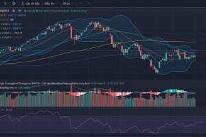 Nhận định thị trường Chứng khoán tuần 04-08/12/2023