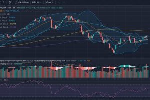 Nhận định thị trường Chứng khoán tuần 11-15/12/2023