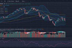Nhận định thị trường Chứng khoán tuần 25-29/12/2023