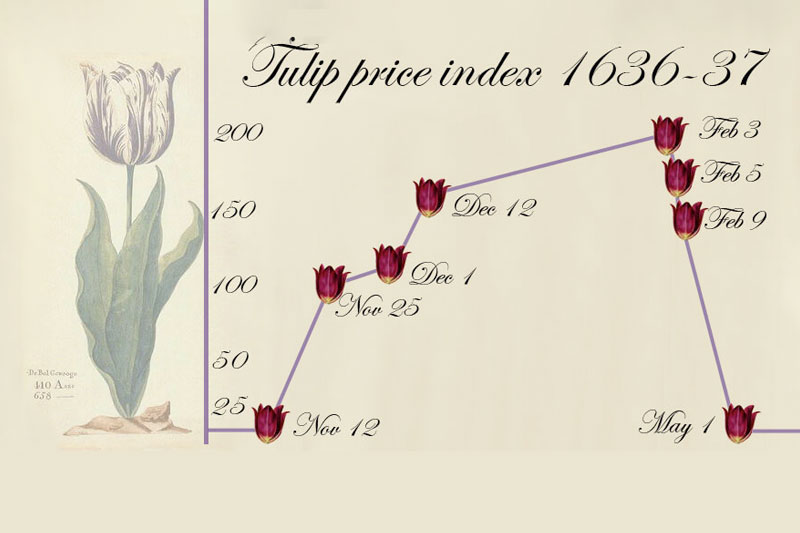 Câu chuyện về bong bóng giá hoa Tulip 1936-1937