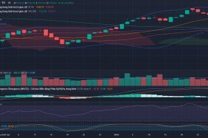 Nhận định thị trường Chứng khoán tuần 29/1-2/2/2024