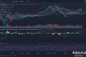 Nhận định thị trường Chứng khoán tuần 05/02-07/02/2024