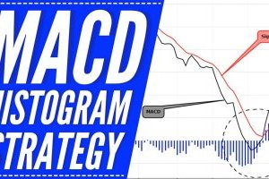 3 ứng dụng của chỉ báo MACD Histogram không phải ai cũng biết