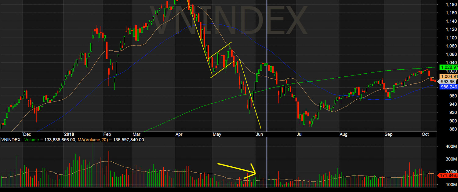 mo hinh co giam vnindex