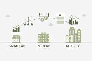 Tìm hiểu về nhóm cổ phiếu LargeCaps, MidCaps, SmallCaps