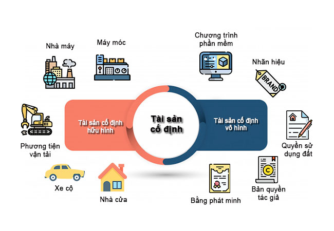 Tài sản cố định bao gồm hữu hình và vô hình