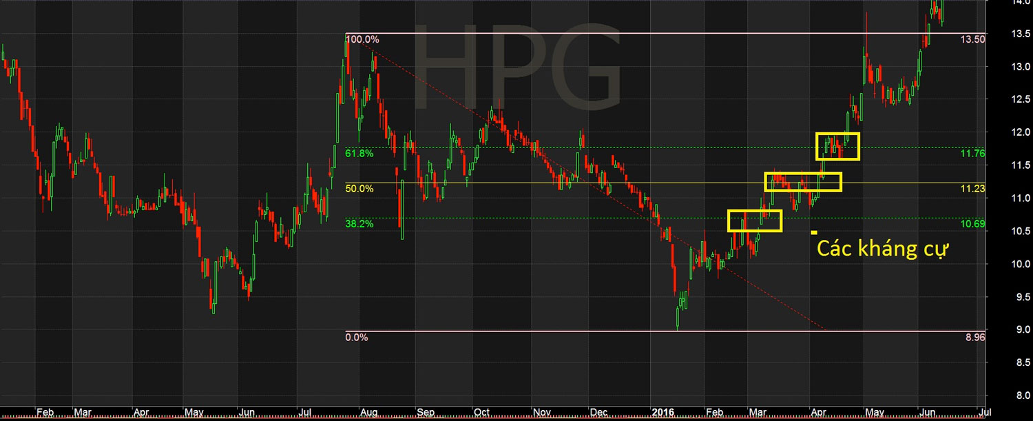 fibonacci hpg