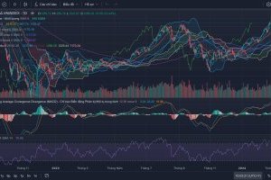 Nhận định thị trường Chứng khoán tuần 04/03-08/03/2024