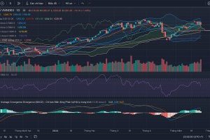 Nhận định Thị trường Chứng khoán tuần 27/05-31/05/2024