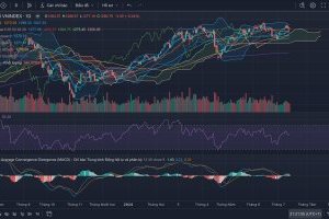Nhận định Thị trường Chứng khoán tuần 15/07 - 19/07/2024