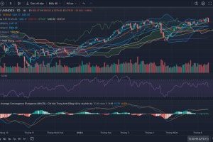 Nhận định Thị trường Chứng khoán tuần 17/06-21/06/2024