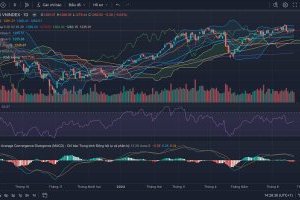  Nhận định Thị trường Chứng khoán tuần 24/06-28/06/2024