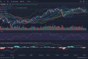 Nhận định Thị trường Chứng khoán tuần 08/07-12/07/2024