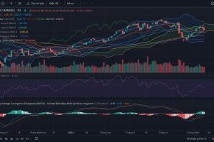 Nhận định Thị trường Chứng khoán tuần 13/05-17/05/2024