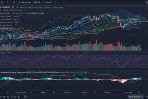 Nhận định Thị trường Chứng khoán tuần 20/05-24/05/2024
