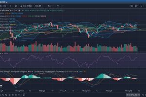 Nhận định thị trường Chứng khoán tuần 14/10-18/10/2024