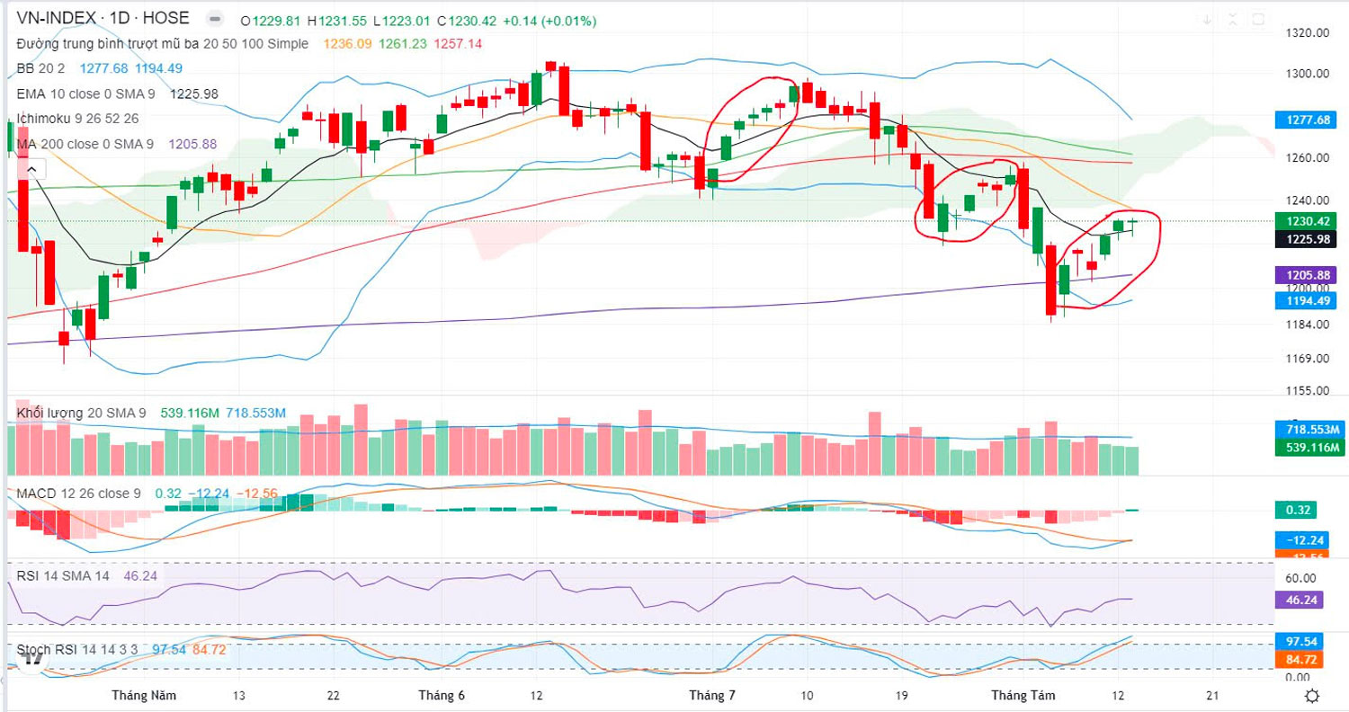 do thi vnindex ngay 13 8 2024