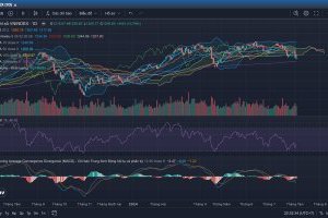 Nhận định Thị trường Chứng khoán tuần 05/08 - 09/08/2024