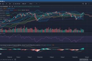 Nhận định thị trường Chứng khoán tuần 26/08-30/08/2024