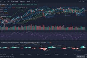 Nhận định thị trường Chứng khoán tuần 09/09-13/09/2024
