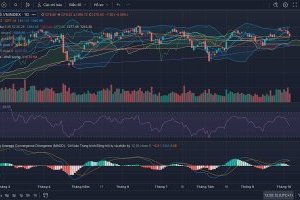 Nhận định thị trường Chứng khoán tuần 07/10-11/10/2024